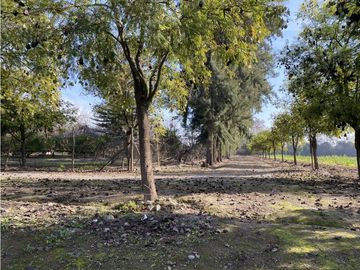 VENTA PARCELA CON CASA  Y PARQUE - CALERA DE TANGO 15 HS