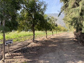 VENTA PARCELA CON CASA  Y PARQUE - CALERA DE TANGO 15 HS