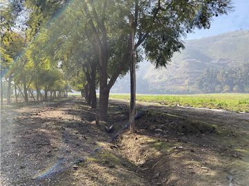 VENTA PARCELA CON CASA  Y PARQUE - CALERA DE TANGO 15 HS