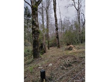 VENTA PARCELAS VILLARRICA - EL ARRAYN - DESDE UF 1.690