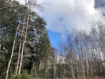 VENTA PARCELAS VILLARRICA - EL ARRAYN - DESDE UF 1.690