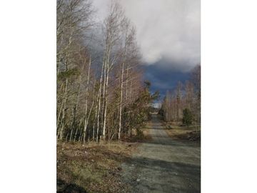 VENTA PARCELAS VILLARRICA - EL ARRAYN - DESDE UF 1.690
