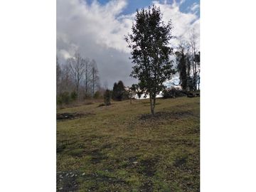 VENTA PARCELAS VILLARRICA - EL ARRAYN - DESDE UF 1.690