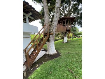 Finca el alquiler en Pereira, 20 Personas