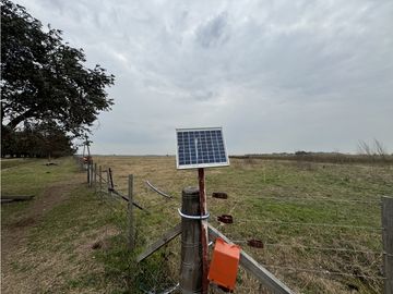 Campo en venta. 450 Has. en Gdor. Udaondo, Pdo. de Cañuelas