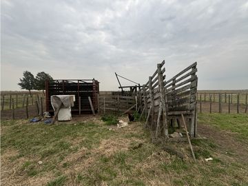 Campo en venta. 450 Has. en Gdor. Udaondo, Pdo. de Cañuelas