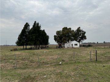 Campo en venta. 450 Has. en Gdor. Udaondo, Pdo. de Cañuelas