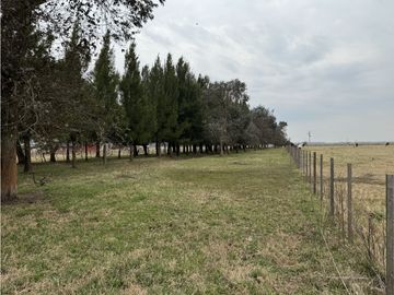 Campo en venta. 450 Has. en Gdor. Udaondo, Pdo. de Cañuelas