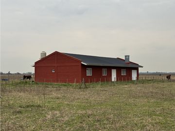 Campo en venta. 450 Has. en Gdor. Udaondo, Pdo. de Cañuelas