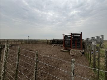 Campo en venta. 450 Has. en Gdor. Udaondo, Pdo. de Cañuelas