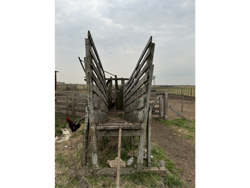 Campo en venta. 450 Has. en Gdor. Udaondo, Pdo. de Cañuelas