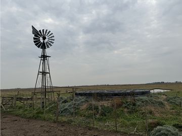 Campo en venta. 450 Has. en Gdor. Udaondo, Pdo. de Cañuelas