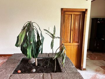 Casa en venta en Fracc. sobre Camino Real a Cholula, con 2,500m2 de Terreno