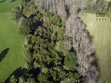 Agrícola en Venta en Estero planchado