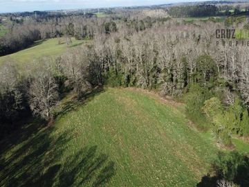 Agrícola en Venta en Estero planchado
