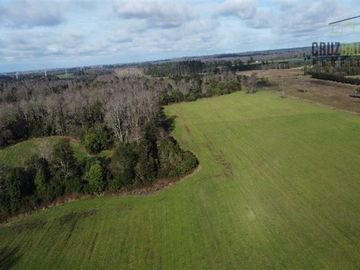 Agrícola en Venta en Estero planchado