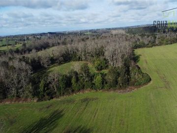Agrícola en Venta en Estero planchado