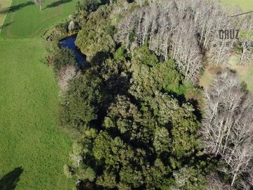 Agrícola en Venta en Estero planchado
