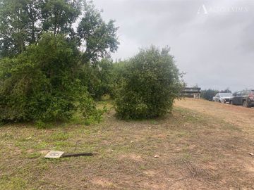 Sitio en Venta en Maitencillo