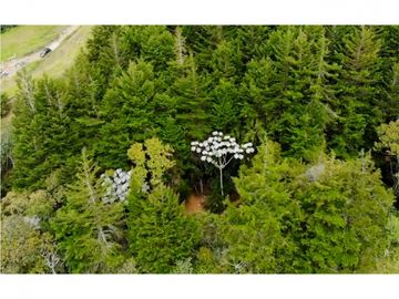 venta lote parcelación llanogrande Rionegro aeropuerto tablazo luxury