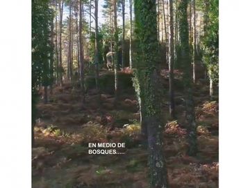 venta lote parcelación llanogrande Rionegro aeropuerto tablazo luxury