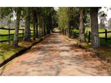 venta lote parcelación llanogrande Rionegro aeropuerto tablazo luxury