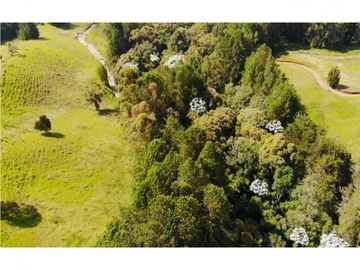 venta lote parcelación llanogrande Rionegro aeropuerto tablazo luxury