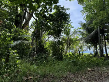 Terreno con hermosa vista al mar en Palenque, Colón
