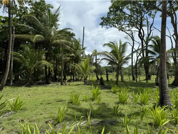 Terreno con hermosa vista al mar en Palenque, Colón
