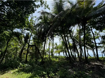 Terreno con hermosa vista al mar en Palenque, Colón