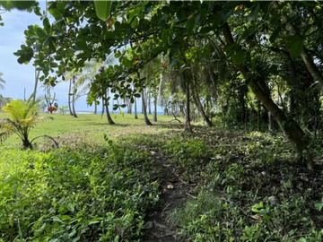 Terreno con hermosa vista al mar en Palenque, Colón
