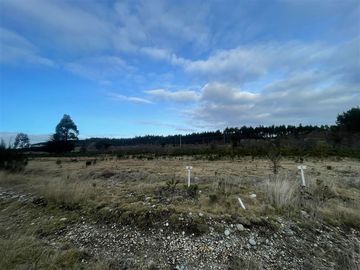 Industrial en Venta en Cruce el Jardín, Calbuco, Puerto Montt, Chile