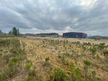 Industrial en Venta en Cruce el Jardín, Calbuco, Puerto Montt, Chile
