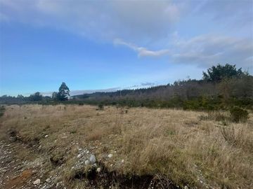 Industrial en Venta en Cruce el Jardín, Calbuco, Puerto Montt, Chile