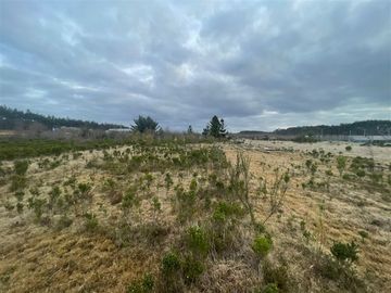 Industrial en Venta en Cruce el Jardín, Calbuco, Puerto Montt, Chile