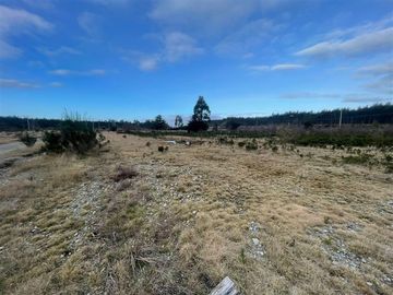 Industrial en Venta en Cruce el Jardín, Calbuco, Puerto Montt, Chile