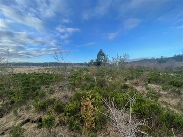 Industrial en Venta en Cruce el Jardín, Calbuco, Puerto Montt, Chile