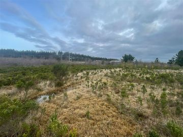 Industrial en Venta en Cruce el Jardín, Calbuco, Puerto Montt, Chile