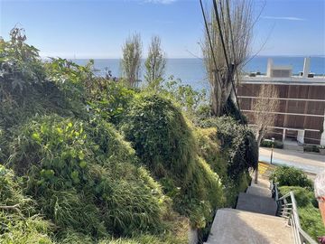 Sitio en Venta en Borgoño escalera el Prado