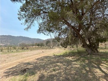Terreno en El Susto, Singuilucan, Estado de Hidalgo.