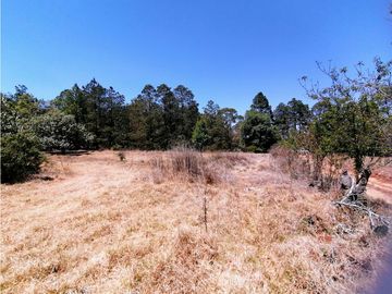 Terreno en San Jose Ocotillos Huasca de Ocampo Hgo. 2125 m2
