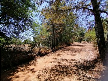 Terreno en San Jose Ocotillos Huasca de Ocampo Hgo. 2125 m2