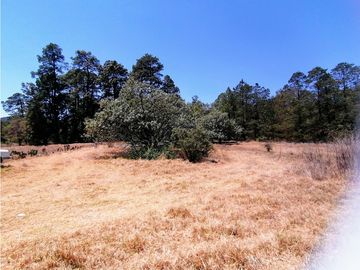 Terreno en San Jose Ocotillos Huasca de Ocampo Hgo. 2125 m2