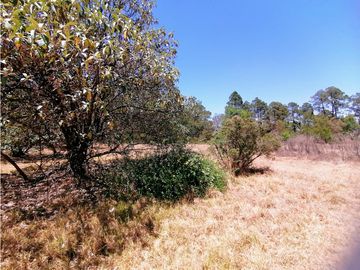 Terreno en San Jose Ocotillos Huasca de Ocampo Hgo. 2125 m2
