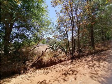 Terreno en San Jose Ocotillos Huasca de Ocampo Hgo. 2125 m2