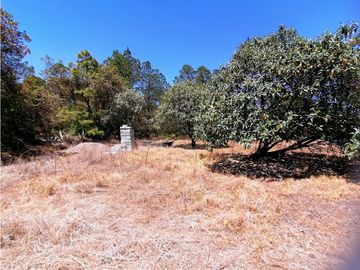 Terreno en San Jose Ocotillos Huasca de Ocampo Hgo. 2125 m2