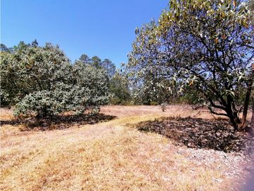 Terreno en San Jose Ocotillos Huasca de Ocampo Hgo. 2125 m2