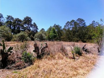 Terreno en San Jose Ocotillos Huasca de Ocampo Hgo. 2125 m2