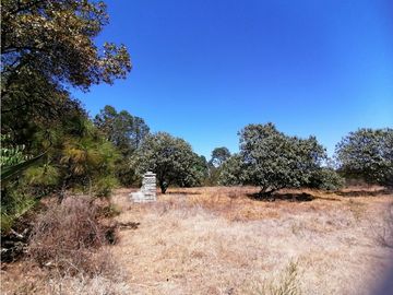 Terreno en San Jose Ocotillos Huasca de Ocampo Hgo. 2125 m2