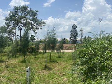 Land for sale in Hat Chao Samran, Phetchaburi